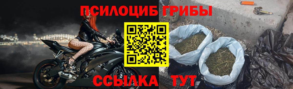 Псилоцибиновые грибы Cubensis  Вход с VPN  как найти закладки  Евпатория 